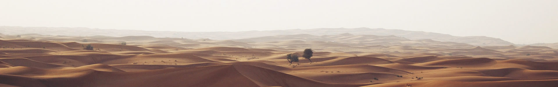 ػʵгҾ޹˾